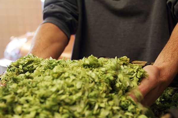 食品加工管理系統 食品加工管理系統